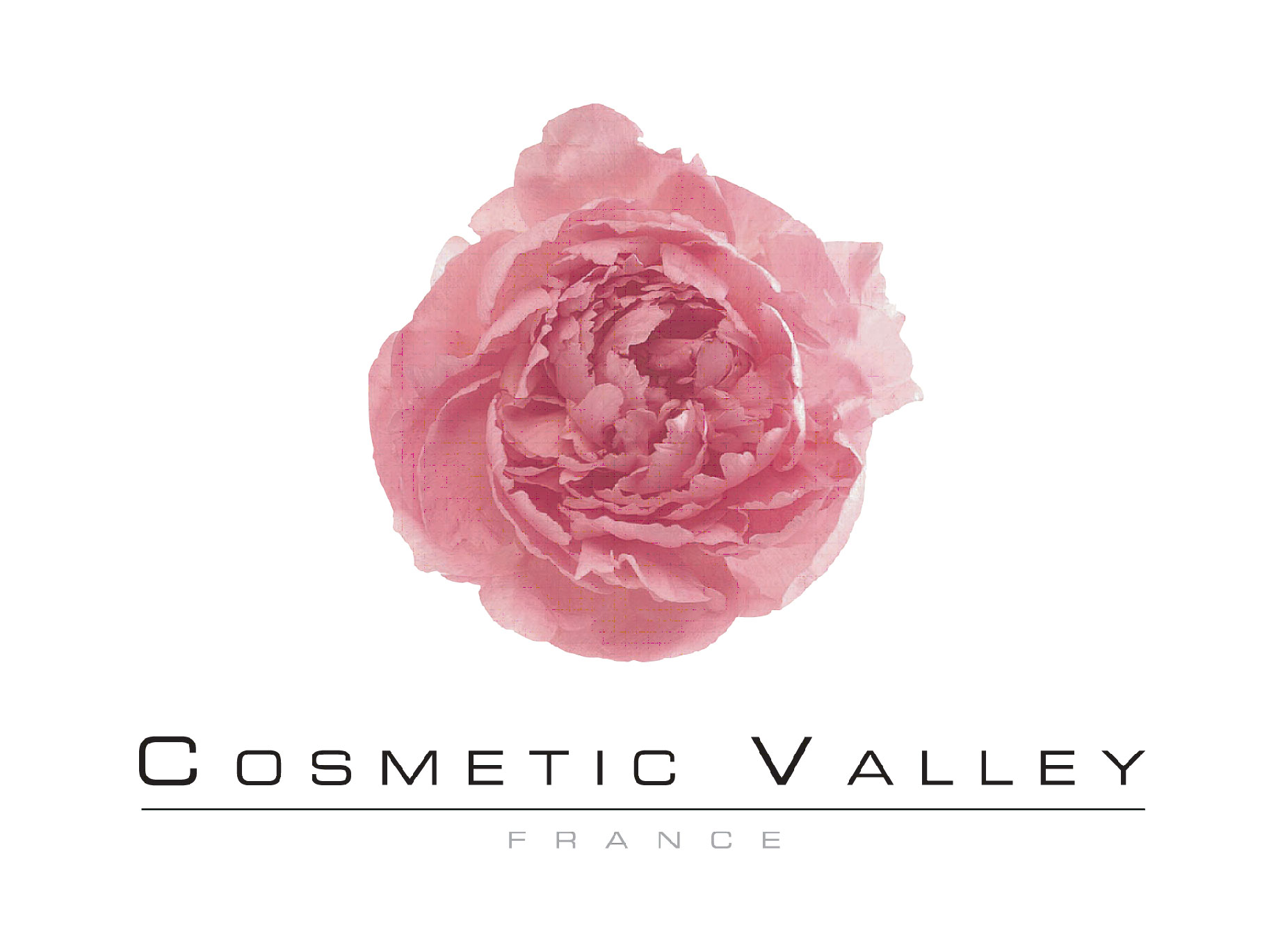 cosmetic valley